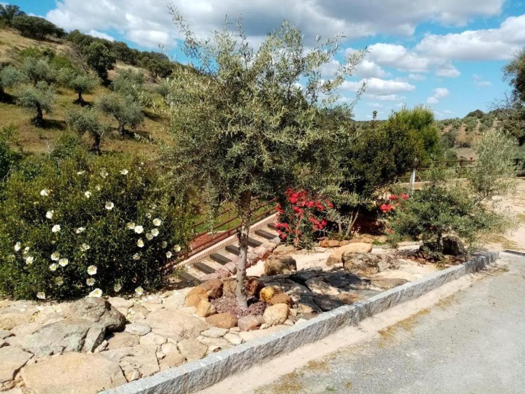 Apartamentos Turisticos La Gitanilla Los Navalucillos Kültér fotó