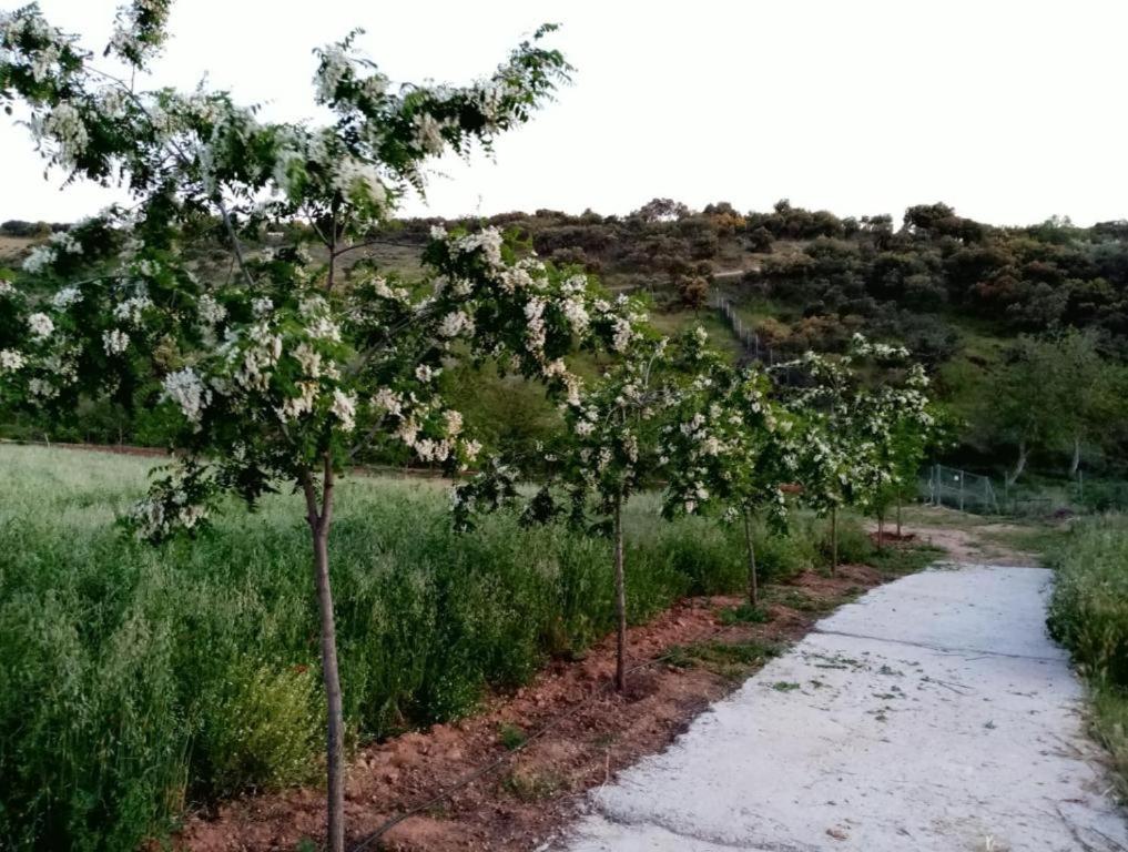 Apartamentos Turisticos La Gitanilla Los Navalucillos Kültér fotó
